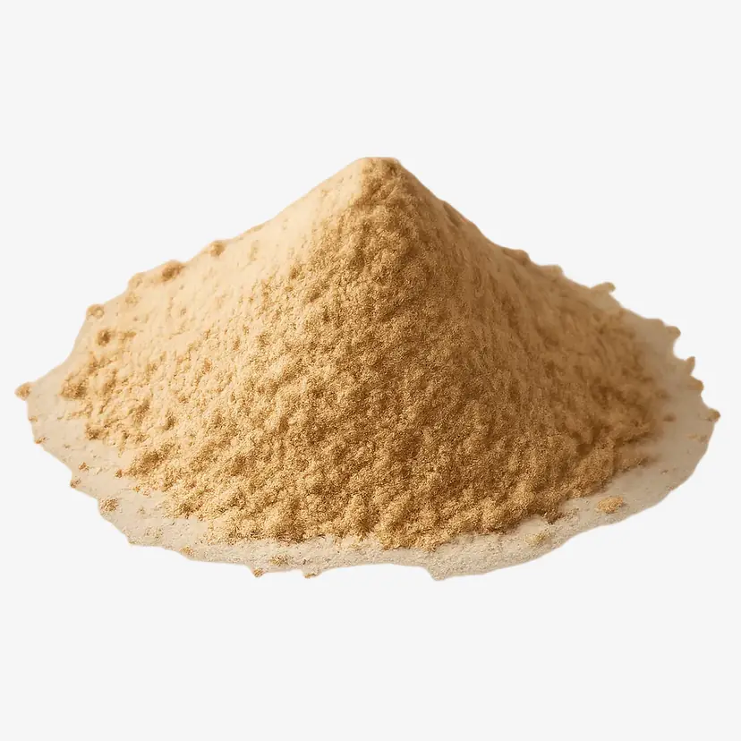 Nutrisi Kunci